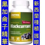 Jarrow Formulas Blackcurrant 黑加侖子精華　 SWV-11272　.