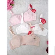 Ready Stok Bra Sorella Sport Tanpa Kawat Tanpa Busa Bh Wireless No Pad Katun Ori