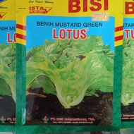 Lotus 50Gr Benih Mustard Green ( Sawi Hijau Pahit )