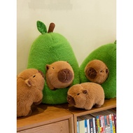 Cute Capybara Capybara Avocado Plush Toy Doll Student Gift Doll Avocado Capybara