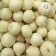 Bawang Putih Tunggal , BAWANG PUTIH JANTAN , GRED AAA+