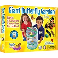 Insect Lore Giant Butterfly Garden with Voucher, Green/White
