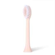 Tương thích với Nanjiren bàn chải đánh răng chạy điện N101 đầu thay cho bàn chải cho người lớn thay 