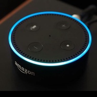 Echo dot (2nd Generations)-Alexa