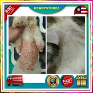 Ubat Kurap Fungus kucing
