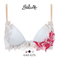 Wacoal Salute 38G BTJ738 FRONT-X+ Bra (Size G)(40BTJ738G)(Direct from Japan)1