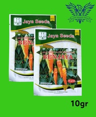 Benih Cabai BENJAYA Bibit Cabe Rawit Merunduk Unggulan Jaya Seed