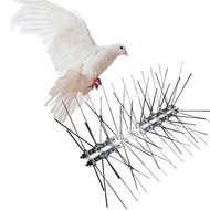 DEFENDER BIRD SPIKES FENCE WALL SPIKE ANTI-BIRD PESTS REPELLER DETERRENT DETER