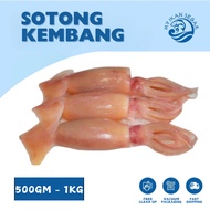 SOTONG KEMBANG 500G/1KG SOTONG KEMBANG FROZEN FOOD SOTONG SEAFOOD FROZEN 苏东 花章鱼