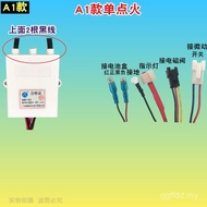 Radiator Igniter Gas Radiator Pulse Igniter Flare Type Igniter Pulse Igniter Control Brand New TJ7W