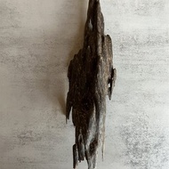 【稀少款】野生北乾達魯沉香擺件-扭結樹心油沉香(53克)