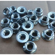 Flange Nut M6 Flange Nut M6