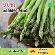 เมล็ดพันธุ์ หน่อไม้ฝรั่ง บรรจุ 100 เมล็ด