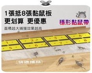 隱形黏鼠帶 粘鼠板 大尺寸 滅鼠魔毯 蜈蚣貼 誘捕器 阻擋 捉鼠器 加大 加長 陷阱 抓米奇 一窩端 捕鼠 驅鼠