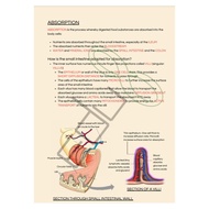 Cambridge IGCSE Biology 0610 MINDMAP