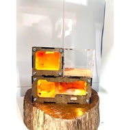 [DT06] Standing Light Tank for Ant Farming/ Ant Raising Tank/ Ant Raising Box/ Standing Tank/ Light 