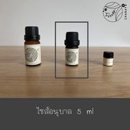 น้ำมันหอมระเหยมะกรูด ชานาญา CHANAYA Kaffir lime peel 100% Essential oil
