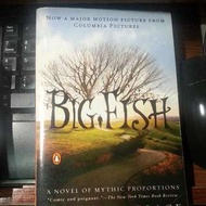 Novel "big fish"