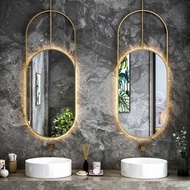 MNS Hanger Oval Mirror Bathroom Mirror Toilet Mirror Oval Mirror Ceiling Hanging Mirror Luminous Mir