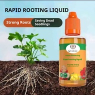快速生根液Home Gardening Rapid Rooting Liquid Succulent Nutrient Solution Universal Flowering Seedling Ro
