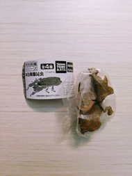 全新 日本 仿真度極高 原色擬態昆蟲扭蛋 Deroplatys lobata 菱背枯葉螳螂 Toy 玩具擺設 figure  $68免費包埋平郵！！！轉數快FPS or Payme!!! 執平貨手快有