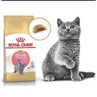 Royal CANIN Seeds For BRITISH Cats With Short Hair Under 12 Months Old BRITISH SHORTHAIR KITTEN