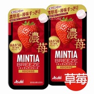 2件 日本 MINTIA Breeze 無糖 隨身 薄荷糖 (濃厚草莓味) (大) 22g