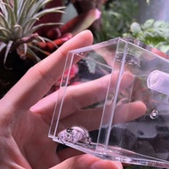 Jumping Spider Breeding Box Buddha Jumping Spider Breathable Landscaping Box Jumping Horse Jumping B