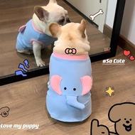 Titty Bichon Fighting Pug