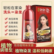 Hair dye   染发剂  泡泡染发剂植物染发剂温和健康纯天然盖白染发焗油膏染头发500ml