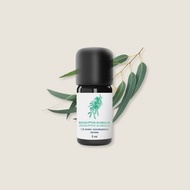 藍桉尤加利精油