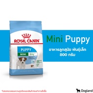 Royal Canin Mini Puppy อาหารลูกสุนัข พันธุ์เล็ก