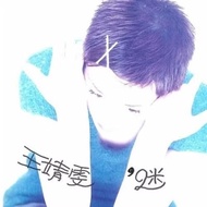 迷(黑膠唱片)-王靖雯 Faye Wong