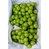 500G ANGGUP RANGGUP FRESH | SHINE MUSCAT GRAPE