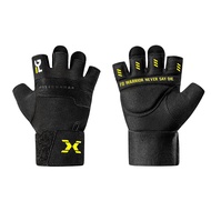NEW ARRIVALS FITTERGEAR :TRAINING GLOVES ถุงมือฟิตเนสพร้อมซัพพอร์ตข้อมือ