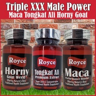 Royce Signature Triple XXXtra Male Power Tongkat Ali Maca Goat Weed | Royce Standard Health Supplement &amp; Vitamin