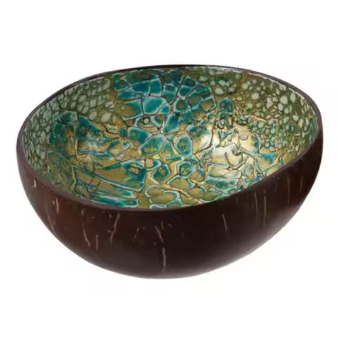 Coconut Shell Coconut Bowl Multifunctional White/Blue/Green 14*14*5 CM Key Bowl Candy Container Livi
