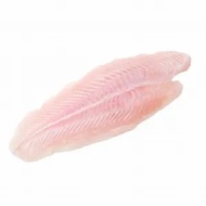 Perch Fish Fillet (2pcs/pack) - Frozen