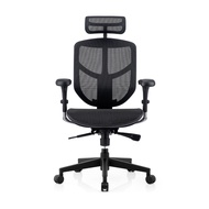 Ergohuman Enjoy Deluxe 2 Ergonomic Office Chair