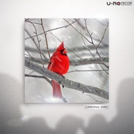 U-RO DECOR รุ่น CARDINAL BIRD ภาพพิมพ์ ขนาด 70 x 70 ซม. ยูโรเดคคอร์ ภาพแต่งบ้าน รูปภาพติดผนัง รูปภาพ