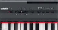 Yamaha P105 P-105 學琴 88鍵 電子琴