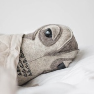 數碼 初學者縫紉班+猫头鹰教學視頻