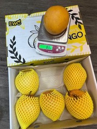 泰國🇹🇭龍珠芒芒果巨無霸