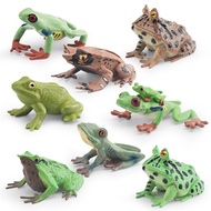 Simulation Solid Insect Animal Model Tree Frog Horn Frog Triangle Dead Leaf Frog Darwin Frog Childre