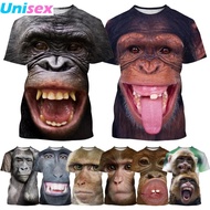 Fashion Casual Orangutan Monkey T-Shirt 3d Printing Funny Hip-Hop T-Shirt Animal Personality Hip-Hop