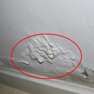 Wall Repair Putty Powder