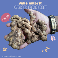 jahe emprit 1kg - jahe emprit Segar