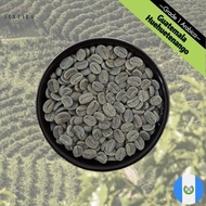 Guatemala SHB EP Huehuetenango Raw Unroasted Arabica Coffee Beans 500g 1k