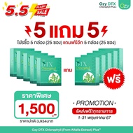 OZY DTX คลอโรฟิลล์ คลอโรฟิลล์หนิง ดีท๊อกซ์สิ่งตกค้างภายใน ผิวสวย สุขภาพดี Ozy by พี่หนิง Ozy DTX C