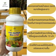 ปุ๋ย Vio Super Big X10 ปุ๋ยเพิ่มผลผลิตถึง 10 เท่า เร่งผลใหญ่และมีขนาดเท่าๆกัน